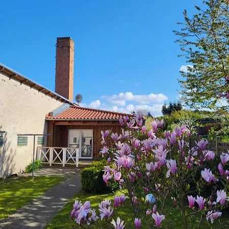 Ferienwohnung Bad Doberan - mit Garten und Terrasse Exterior foto